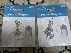 ディズニーシー 25周年 チャーム ダッフィー＆シェリーメイ