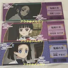 鬼滅の刃 胡蝶しのぶ 栗花落カナヲ 神崎アオイ トレーディングチケット風カード