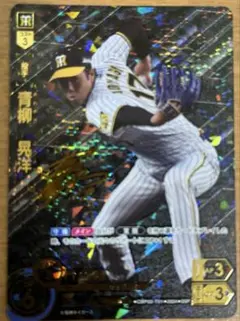 【美品】青柳晃洋 DREAM ORDER SSP 阪神タイガース
