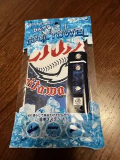 埼玉西武ライオンズ 冷感クールタオル 新品
