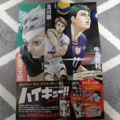 【 ハイキュー!!magazine 2025 AUGUST】ポスター