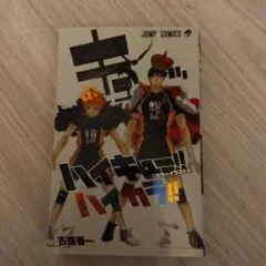 ハイキュー!! 公式カラーイラスト集 ハイカラ!!