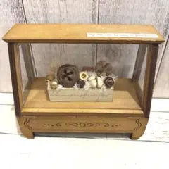 再販！ナチュラルインテリア雑貨　コレクションケース　ドライフラワーブロック