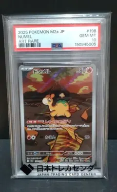 ね*こ様 ポケモンカード ワンパチ AR PSA10 POKÉMON - メルカリ