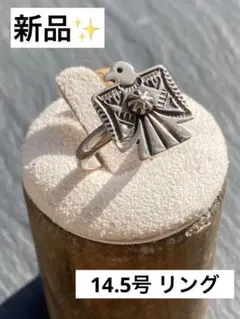 aaa　ダレルキャドマン　キャンデラリア　ナバホ　インディアンジュエリー imgrc0084737529.jpg