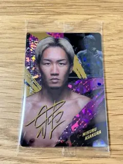 Item thumbnail for item 94bc2ca7-0383-43e4-9265-f40e08dae311