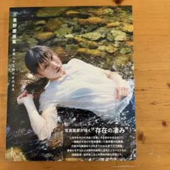 非売品】上伊那ぼたん、酔へる姿は百合の花 ミニポスター クリア
