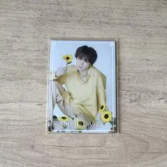 佐藤 大樹　トレカ　FANTASTICS SUNFLOWER
