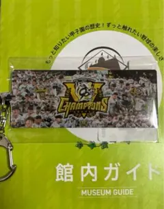 阪神タイガース　史上最速V キーホルダー