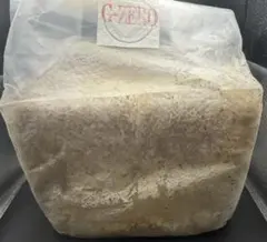 Item thumbnail for item 8604a88c-c87f-4e4c-9230-36a64e8e79a6