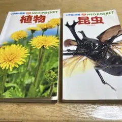 小学館の図鑑　NEO POCKET 植物　昆虫 2冊まとめ売り