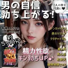 精力増大5ヶ月分⭐有機マカ クラチャイダム トンカットアリ 馬心筋⭐精力増強剤のサムネイル