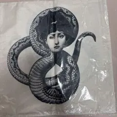 Item thumbnail for item 1cc84b1e-e61b-44a5-987a-c3a2bdd4ccfd