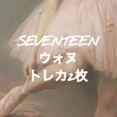 SEVENTEEN ウォヌ トレカ 2枚