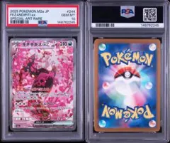 2026年最新】キチキギスex sar psa10の人気アイテム - メルカリ