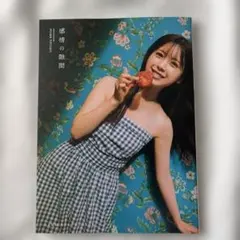乃木坂46 筒井あやめ アザーカット ミニブック 写真集 感情の隙間