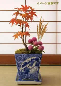 まいまい様 リクエスト 4点 まとめ商品