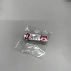 大阪関西EXPO チリパビリオン