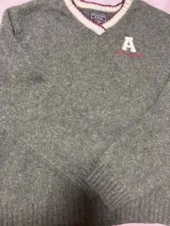 Abercrombie & Fitch Vネックニット