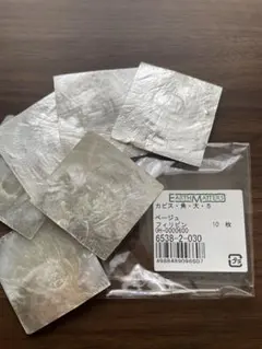 EARTH MATTERS 貝殻プレート