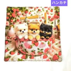 Item thumbnail for item fbe8fe4f-37bd-4509-811c-4adafda66049