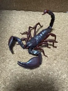 いきもの大図鑑　スコーピオンフィギュア 可動式 約15cm