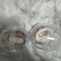 B'z FYOP 会場限定ガチャ マスキングテープ 黒&白セット