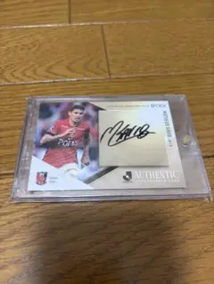 Item thumbnail for item 6137d3b1-3e20-4f4f-a476-69e3d1a92c74