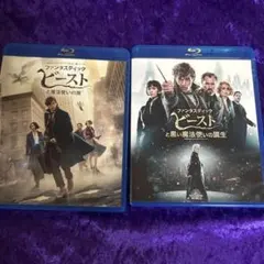 ファンタスティック・ビースト ブルーレイ2枚セット