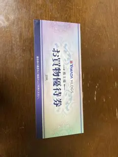 株主優待 ヤマダホールディングス 500円×10 2024年12月末迄