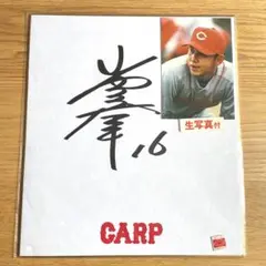 Item thumbnail for item 917fe644-92cf-4255-a7cb-f069b98de0fe