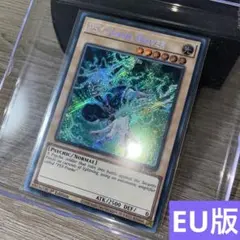 遊戯王 影霊の翼ウェンディ シク 英語版 EU版 BLGG - メルカリ