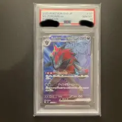 2026年最新】nのゾロアーク psa10の人気アイテム - メルカリ