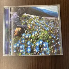 オロメン 朝顔 CD