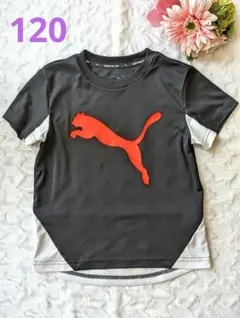 プーマ　速乾ドライTシャツ