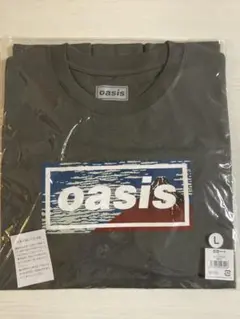 新品】oasis live '25 Tシャツ XL グレー 富士山 - メルカリ