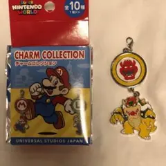 ユニバーサルスタジオジャパン　ニンテンドーワールド チャームコレクション