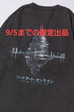 NerveGear TEE / VIOLET vaultroom XL 未使用 NerveGear TEE / VIOLET vaultroom XL 未使用 - メルカリ