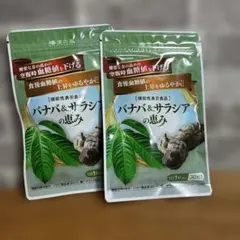 Item thumbnail for item ce951063-0a7a-4383-bbd5-952587e02c4f