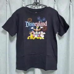 ディズニーリゾート