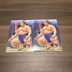 Item thumbnail for item ca859ad5-76cb-403f-a9ad-0965a40021a2