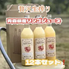 青森 りんごジュース サンふじ、王林ミックス ストレートジュース 12本 