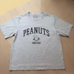 UNIQLO ピーナッツスヌーピーTシャツ グレーMサイズ2025年購入未使用