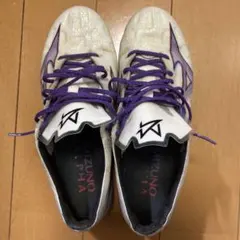 ミズノアルファエリート25.0cm