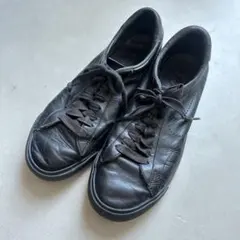 Item thumbnail for item b92159c5-45d6-494f-b5b4-23efb9d24603