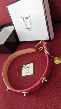 Item thumbnail for item e95ddfef-dc3c-4158-a847-cf9161984379