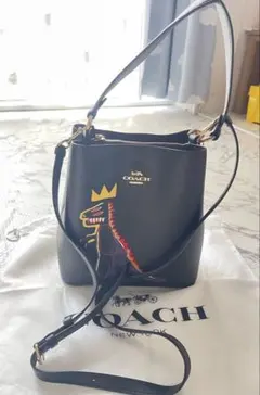 2026年最新】コーチ 恐竜 バッグの人気アイテム - メルカリ