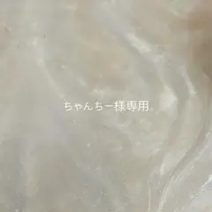 ちゃんちー様専用