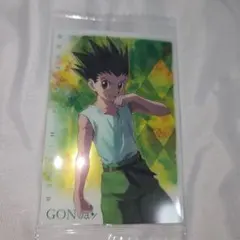 HUNTER × HUNTER ゴン イタジャガ カード