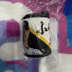 阪神タイガース　ガチャガチャ　小幡竜平　コインシリンダー